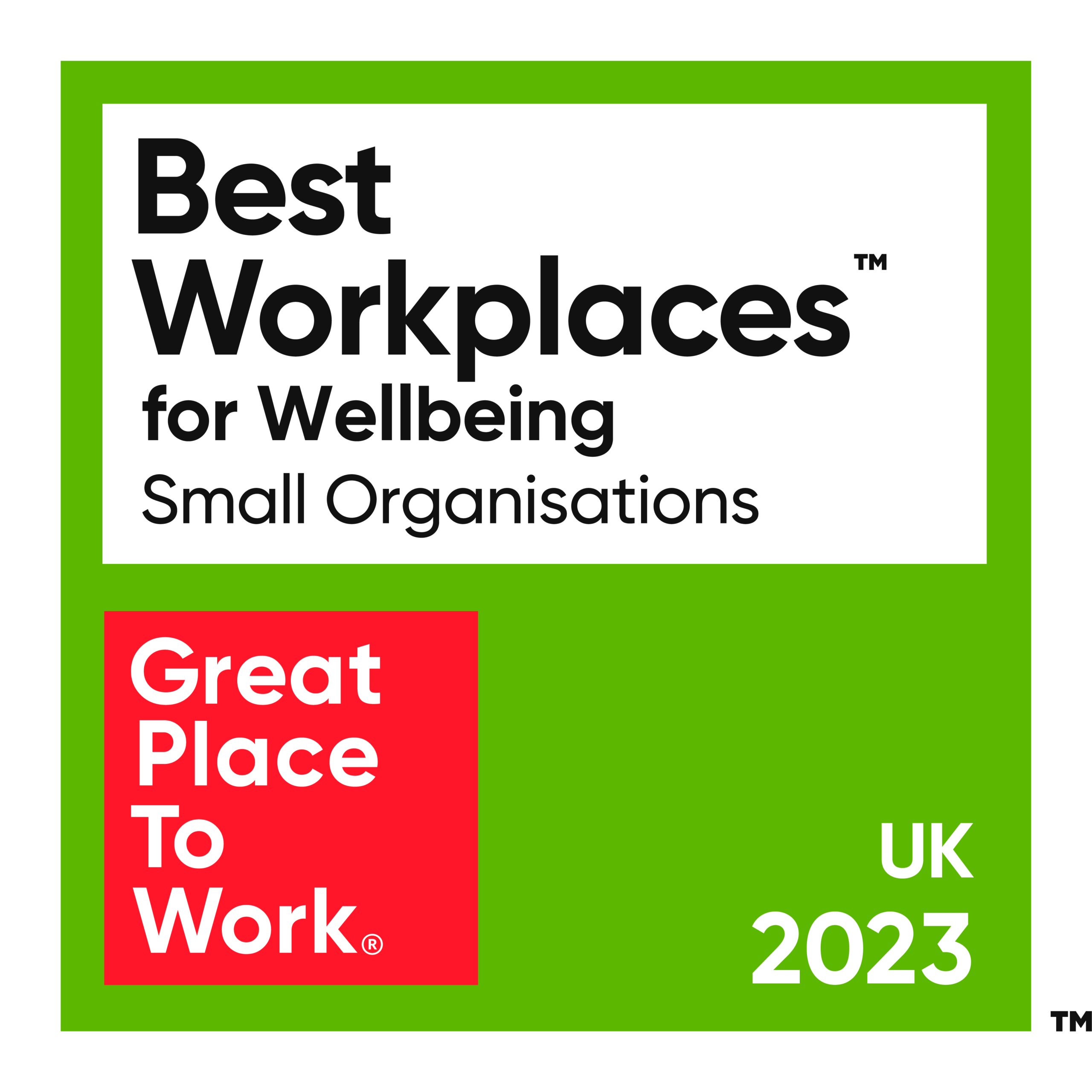 2023 Great place to work for wellbeing, small organisations award